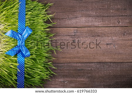 Blue decoration line on a grass on a wooden panel. Presents or celebration cocept. Flat Lay.