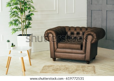 interior with chair and plants