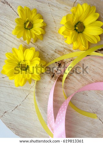 Yellow chrysanthemum with ribbon on wooden background