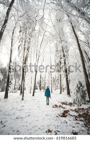 Winter adventure in the white forest