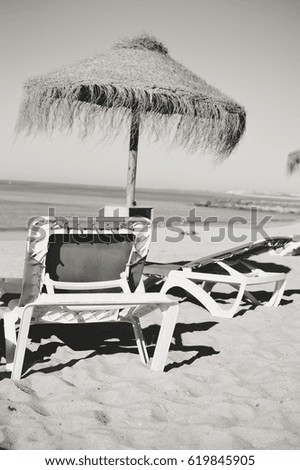 Holiday beach chaise lounges and parasol canopy on the ocean outdoors background. Black and white photography image