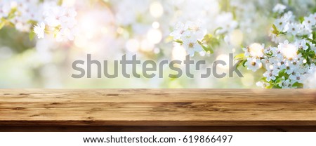 Sunny spring background with white flowers and empty wooden table for a concept