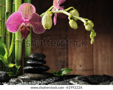spa frame from bamboo grove, pink orchid and black zen stones on the old wooden background