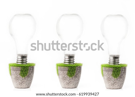 Incandescent lamp in pot isolated on white background,born to be big idea or creative thinking concept