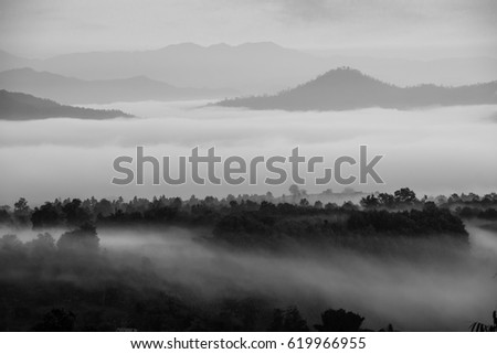 sea of clouds over the forest with mountains view in Black and white photography