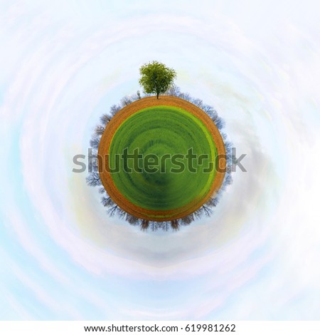 the concept of a small planet with small tree on it, clear blue sky