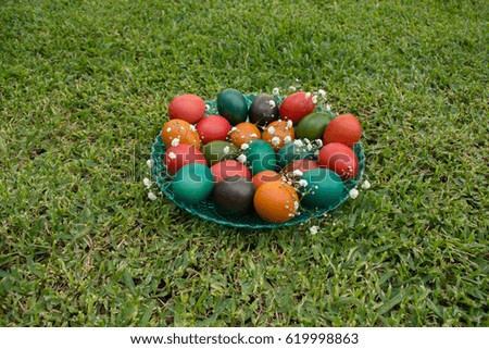 Colourful Easter Eggs in green grass