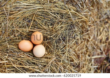 Fresh brown chicken eggs on a background of  straw in farma.