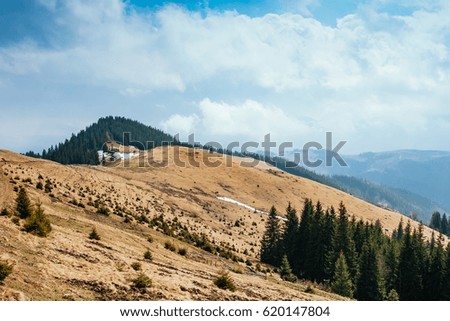 Bright hills and gorgeous scene of the alpine valley. Location place Carpathian Ukraine, Europe. Wonderful springtime wallpaper. Outdoor activity. Explore the world's beauty and wildlife.