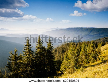 Bright hills and gorgeous scene of the alpine valley. Location place Carpathian, Ukraine, Europe. Wonderful summertime wallpaper. Excellent outdoor vacation. Explore the world's beauty and wildlife.