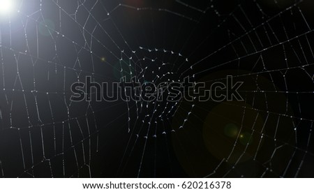 Spider web on black background with lens flare on the left top. 