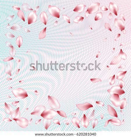 Petals fly frame above pink and blue curve lines ripple abstract background. Vector illustration with cherry  flower blossom elements falling down. Spring graphic design