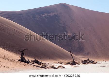 sossusvlei is a common tourist destination in the southern part of the Namib Desert namibia africa 