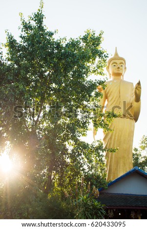 Buddha standing
