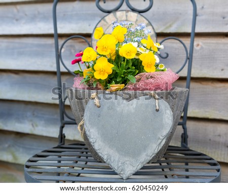 Flower on Chair outside on House