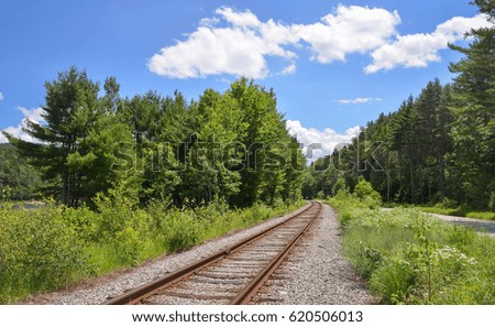 railroad thru the forest