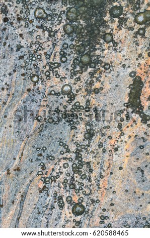 Texture of granite and lichen on it.Vertical .