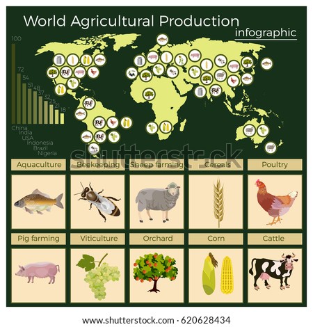 World agricultural production, vector infographic.