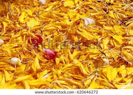 Beautiful yellow flowers in the water . 
Spa natural plant decoration for relaxation. Romantic decoration, photo style background.
