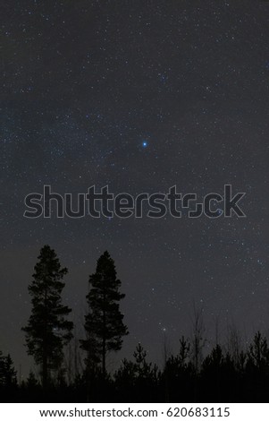 Two trees under the night sky at Central Finland.