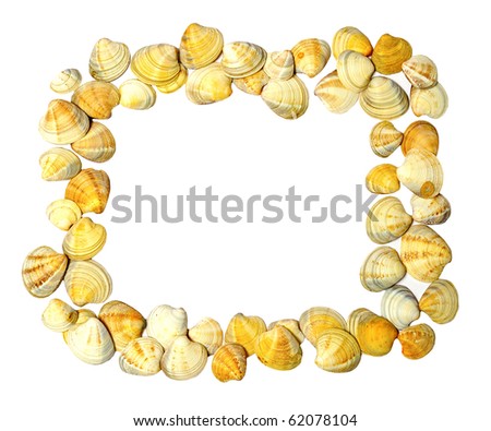 Many little shells isolated as frame