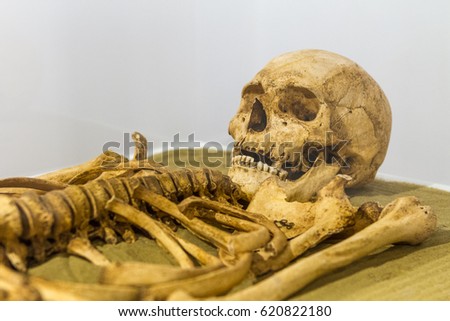 remains of human with real human skull and bone