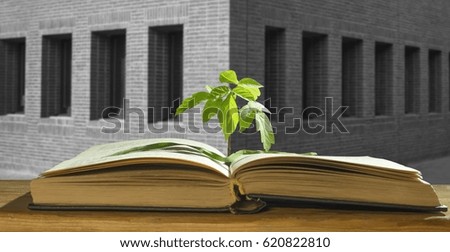 Green sprout and book on a gray brick wall background