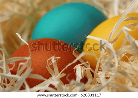 Easter eggs in nest on wooden background, close-up.Selective focus