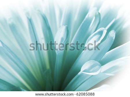 Color flower Royalty-Free Stock Photo #62085088