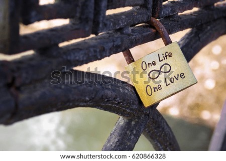 Closeup of golden wedding lock on iron rusty fence
with One Love one Life text. Blurred background