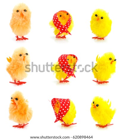 Set of yellow chickens in various poses isolated on white