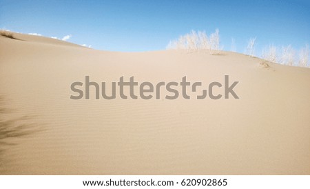 spring steppe dune, backgrounds, wild nature, sunny day,stock photo