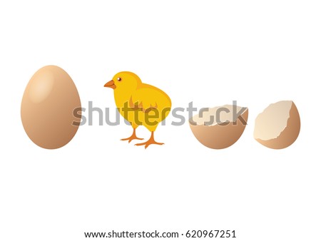 Chicken and egg vector. Cute chick hatching. Cartoon chicken. Easter illustration