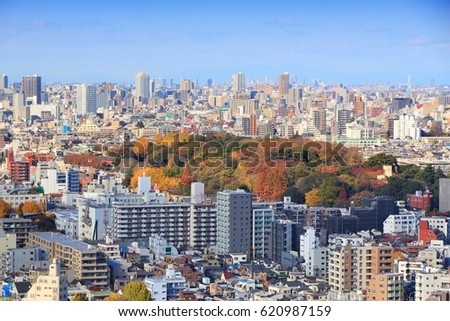 Big city skyline - Bunkyo Ward of Tokyo, Japan. Koishikawa Botanical Garden autumn colors.