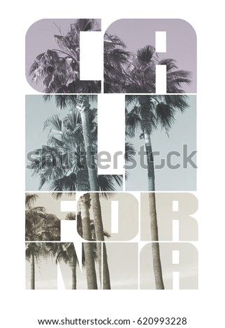 Photo print California and palm , tee shirt graphics, typography