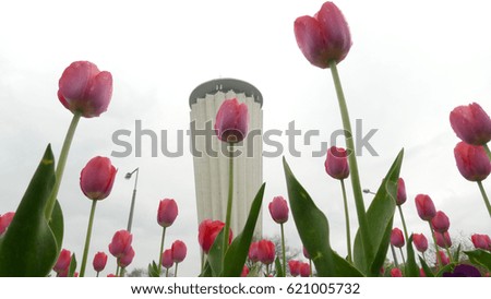 Beautiful red flowers make the water tower look nicer
