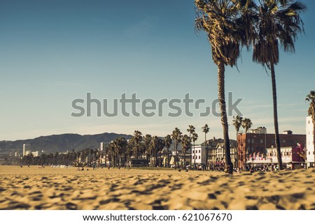 Venice Beach California / beach and palms