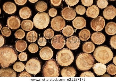 logs, woods, construction