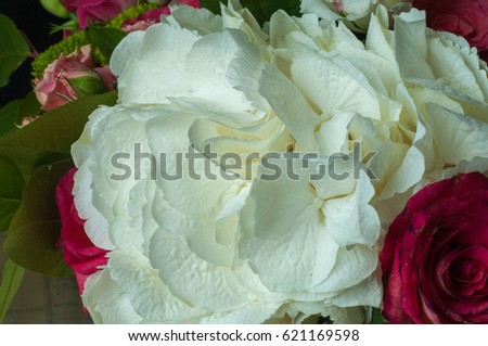 B Beautiful bouquet of flowers ready for the big wedding ceremony. 