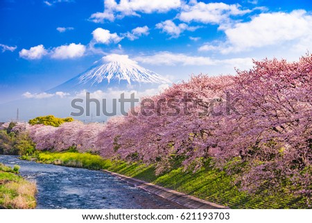 Mt. Fuji, Japan and river in Spring. Royalty-Free Stock Photo #621193703