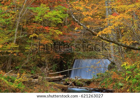 Oirase Gorge in autumn