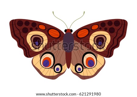Colored butterfly - beautiful  insect, one of the most famous and popular in the world