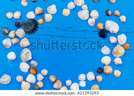 Seashells on blue wooden surface. Empty space for text