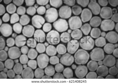 Picture blurred  for background abstract and can be illustration to article of wood texture background