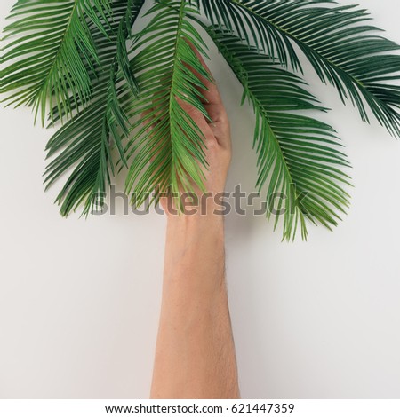 Hand holding tropical palm tree leaves. Summer minimal concept. Flat lay.
