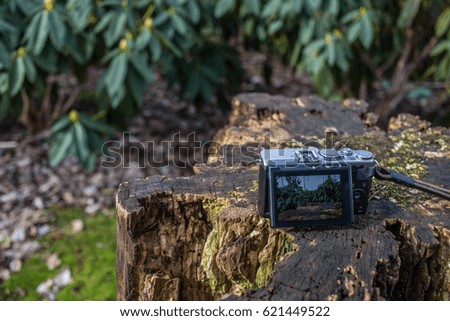 A small point and shoot camera taking picture of trees
