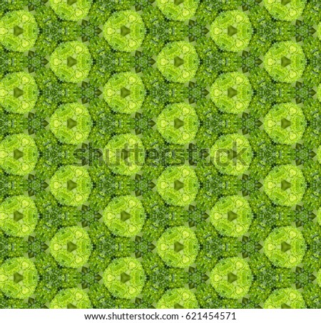 Seamless pattern art, abstract geometry generated from broccoli image. Good for web page, graphic design, catalog, textile or texture printing & background.