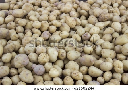 Bunches of fresh small potatoes