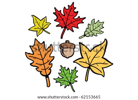 Handy little vector set of fall elements. Three different leaf types and an acorn. The color of each shape's outline/veins and fill color can be changed with one click.