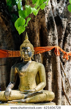Buddha under the Bodhi tree in Thai temple, Thailand